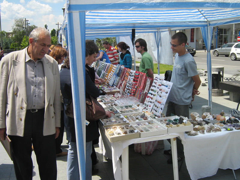 Imagini Salonul National de Minerale Fosile si Geme (1)