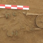 Materiale arheologice Desa Dolj