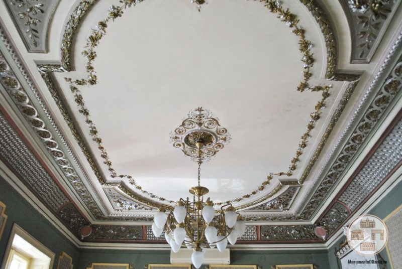 Casa Nicolae Romanescu - tavan salon receptii