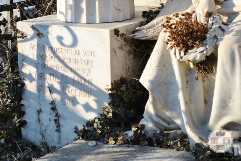 Inscriptie - Monumentul funerar al familiei Aman din Cimitirul Sineasca, Craiova