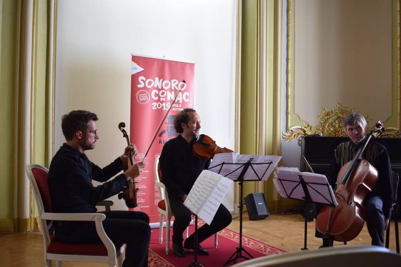 Concert SoNoRo Conac la Muzeul de Arta Craiova