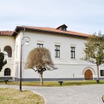 Casa Baniei, Craiova (3)