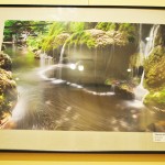 Expozitie foto SIAF 2015 la Muzeul Olteniei (2)